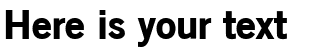 Your preview of OldSansBlack font