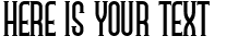 Your preview of Namesake NF font