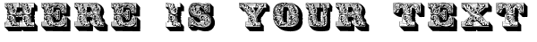 Your preview of Lettres ombres ornes font