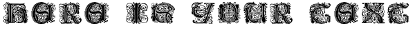 Your preview of Paulus Franck Initialen font