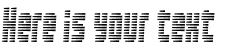Your preview of Maximum Security font