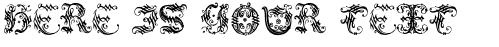 Your preview of Ornamental Initial font