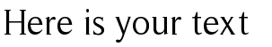 Your preview of Roman Serif font