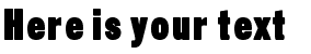 Your preview of Sans Thirteen Black font