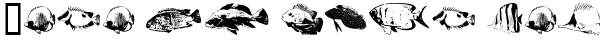 Your preview of FishyPrint AOE font