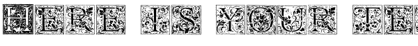 Your preview of Florana Initials font