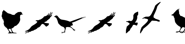 Your preview of Birds of a Feather font