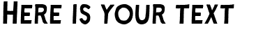 Your preview of Ray Johnson font