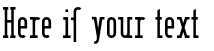 Your preview of Berlin Email Serif font