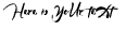 Your preview of Rainforest font