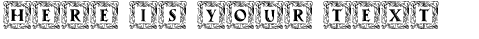 Your preview of Maximilian Antiqua Initialen font