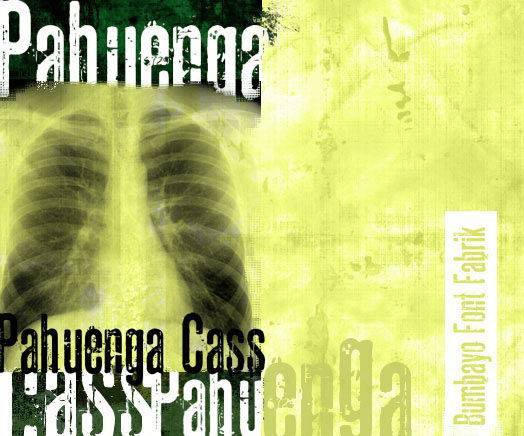 Pahuenga Cass - Font Illustration